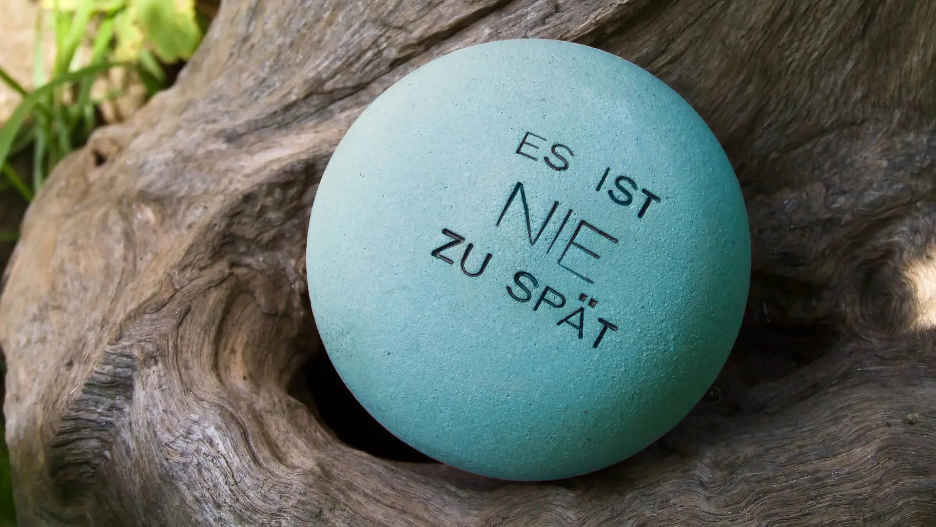 Eine türkise Kugel an einem Baum, mit dem Schriftzug „Es ist nie zu spät“ draufgeschrieben